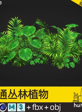 卡通 蕨类绿色植物模型C4D丛林沼泽水生杂草Blender FBX OBJ素材