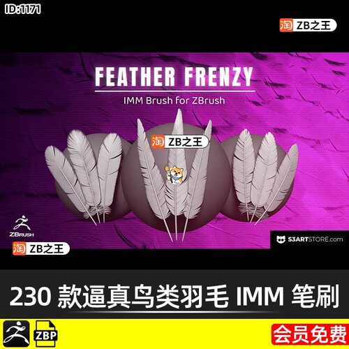 ZBrush笔刷230款逼真鸟类羽毛IMM笔刷ZBP格式ZB建模雕刻素材