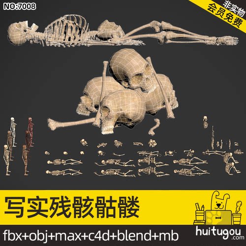 低面人类骨骼残骸合集Blend尸骸骷髅C4D MAX FBX OBJ MAYA 3D素材