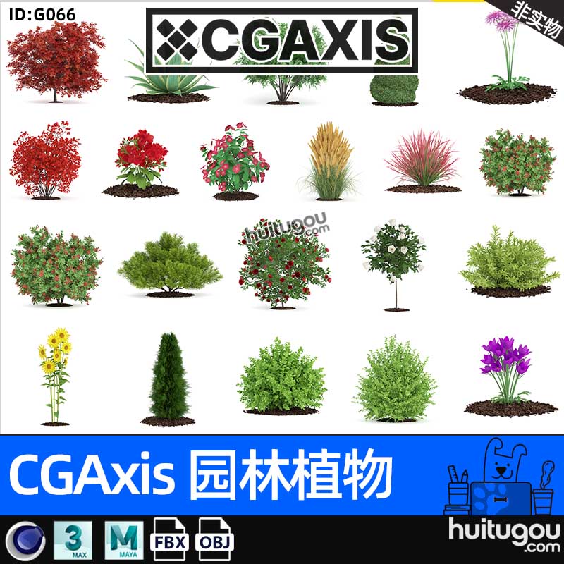 CGAXIS Garden Plants-2[园林植物]装饰花卉植株3D模型MAX MAYA