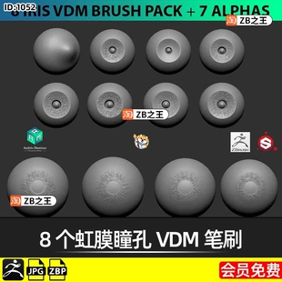 ZBrush素材ZBP格式Alpha笔刷瞳孔虹膜VDM笔刷ZB雕刻人物画笔