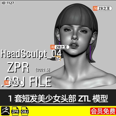 ZBrush素材ZPR短发美少女头部OBJ模型ZB建模雕刻基础网格素材