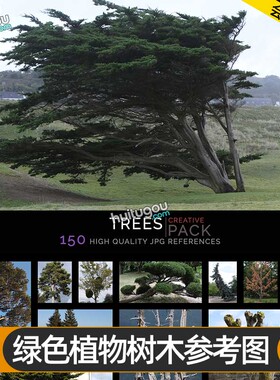绿色植物树木参考图150张 游戏影视概念CG设计3D建模雕刻纹理参考