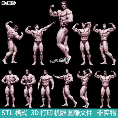 阿诺德施瓦辛格肌肉男健美圆雕机雕图STL文件3D打印模型图纸合集