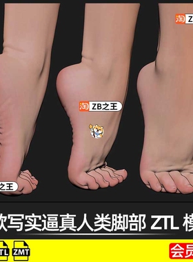 ZBrush模型1款写实逼真人类女性脚部脚掌ZTL模型ZB素材 带ZMT材质