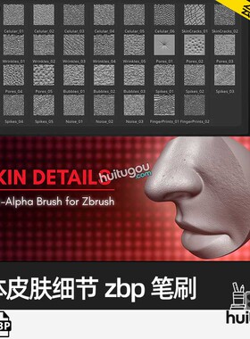 ZBrush人物细节皮肤笔刷ZBP画笔角色脸部皱纹毛孔指纹雕刻ZB素材