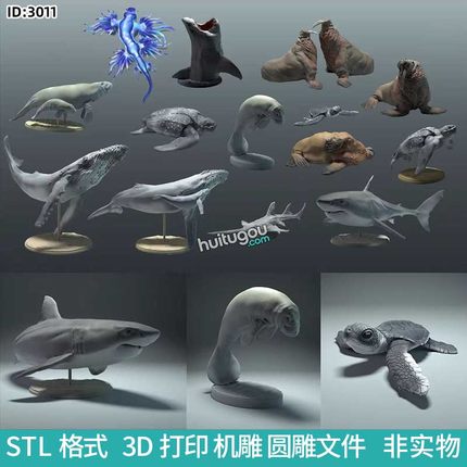 海洋动物鲸鱼鲨鱼海龟海象圆雕机雕刻STL文件3D打印模型图纸合集
