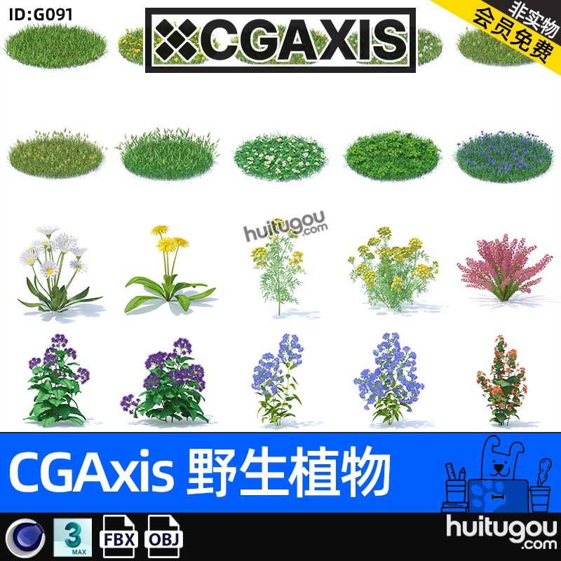 CGAXIS Wild Plants[野生植物]花草植物草地3D模型素材FBX格式OBJ