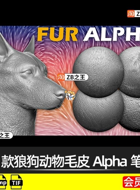 ZBrush素材15款狼狗动物毛皮毛发Alpha笔刷ZB雕刻bmp纹理贴图tif
