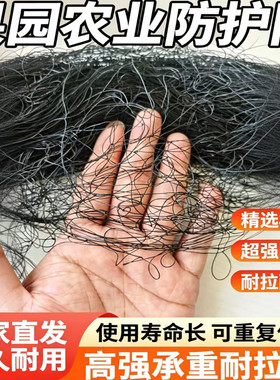 果园5.0孔防鸟网尼龙网草莓樱桃大棚葡萄鱼池天网防鸟网防护黑色