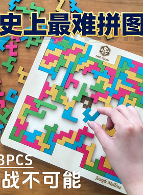 Hepto Master十级高难度烧脑数学拼图超难俄罗斯方块puzzle木质