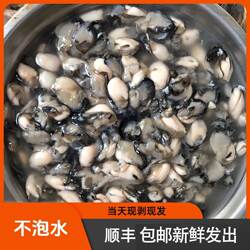 【乐清蛎勾】温州乐清清江鲜蛎勾牡蛎力勾生醉三鲜面蚵仔煎