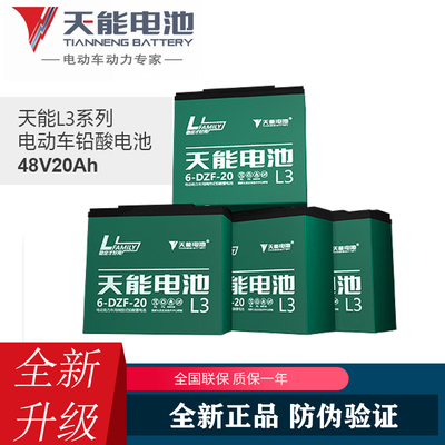 工程电动翻斗车天能电池48V20A