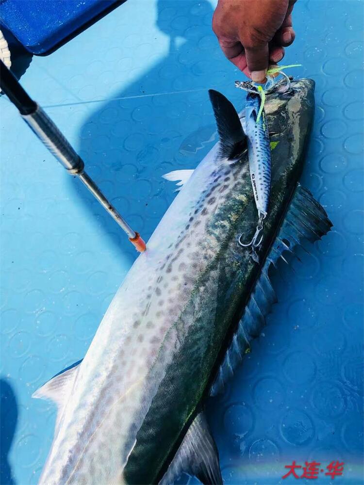 日本马牌仿生鱼皮色拟真jpv铁板