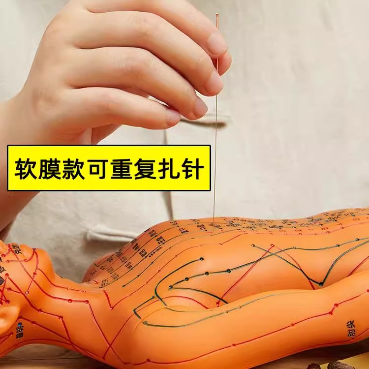 针灸人体模型真人穴位经络全身图小皮人模特十二铜人小人形针炙