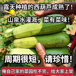 （自家菜园种的，只有100单，卖完下架）山西农家西葫芦角瓜应季