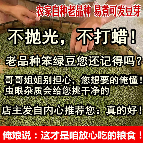 （老人坚持在种的老式土绿豆）农家自种小颗粒毛绿豆笨绿豆可发芽
