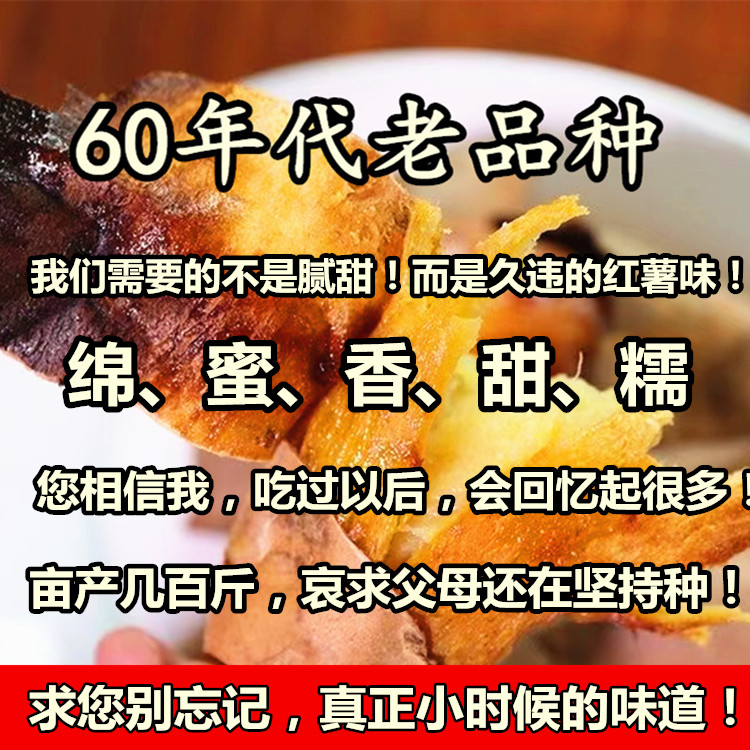 （父母记忆中的老味道）60年代老品种红薯山西农家自种老式地瓜