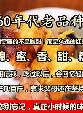 （父母记忆中的老味道）60年代老品种红薯山西农家自种老式地瓜