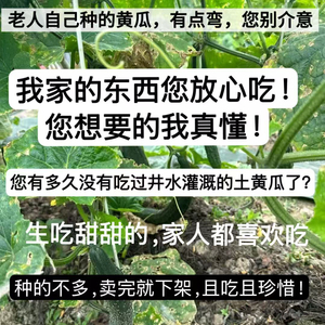 （是您寻找的记忆中小时候的味道）山西农家菜园子弯黄瓜26年新货