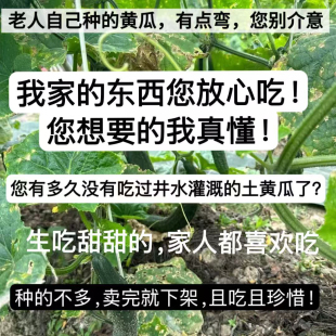 （是您寻找的记忆中小时候的味道）山西农家菜园子弯黄瓜26年新货