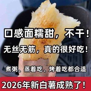 26年新货（真心推荐～很甜糯特别好吃）山西农家自种新鲜白心红薯