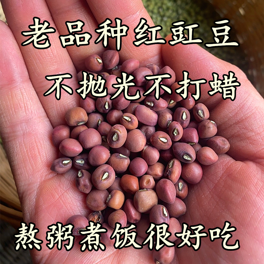 （老人辛苦种的老品种红豇豆）农家老式豇豆五谷杂粮熬粥煮饭沙糯