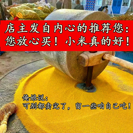 （您放心！俺媳妇坐月子喝的小米）山西农家自种黄小米石碾老品种