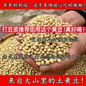 （老人坚持种的老式黑肚脐土黄豆）25年新货农家自种老品种土黄豆
