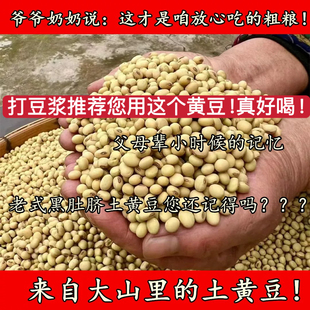 黑肚脐土黄豆 老式 25年新货农家自种老品种土黄豆 老人坚持种
