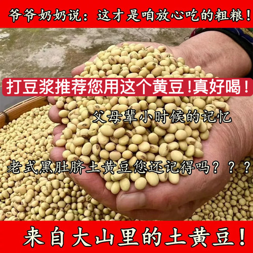 （老人坚持种的老式黑肚脐土黄豆）25年新货农家自种老品种土黄豆