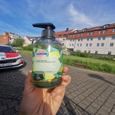 德国dm采购直邮 Sagrotan芦荟黑莓滋养保湿不假滑温和泡沫洗手液