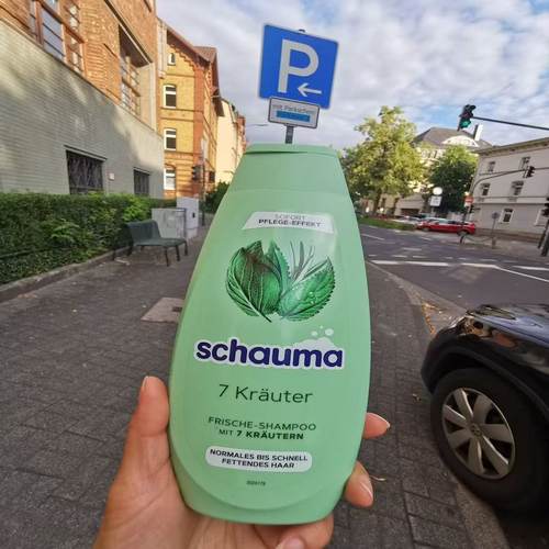 德国直邮Schauma施华蔻洗发水 强韧发丝 滋养柔顺光泽顺滑 易梳理
