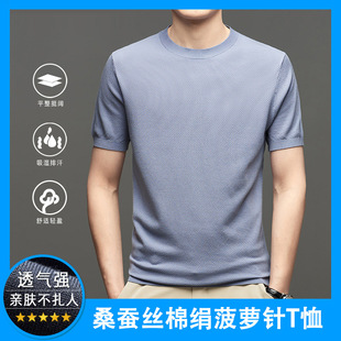 2025夏新款男士T恤衫桑蚕丝莱赛尔休闲圆领短袖菠萝阵法体恤上衣