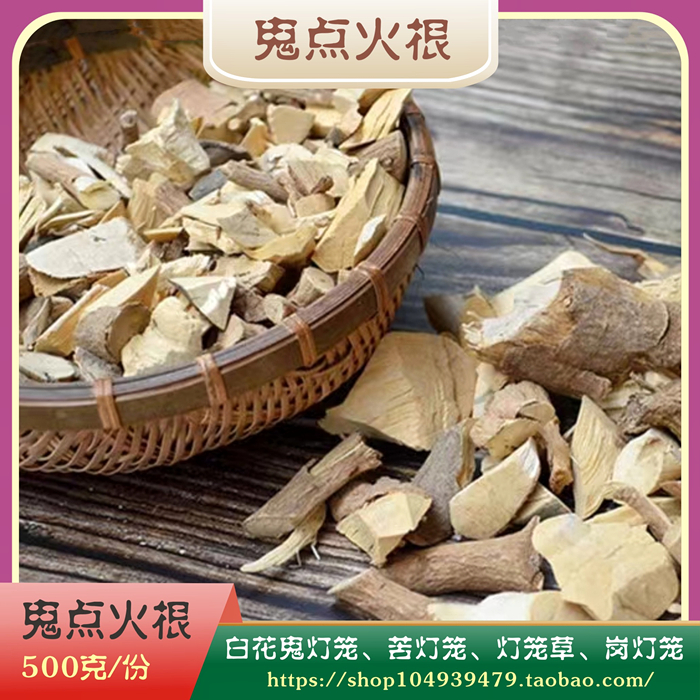 白花鬼点火根500g河源野生鬼灯笼农家山货无硫灯笼草苦灯笼中药材