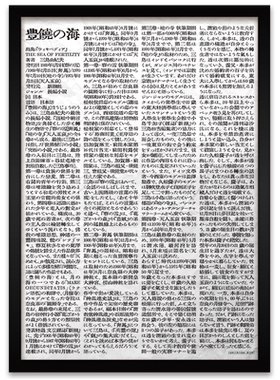 日文报纸丰饶之海有框简约实木框