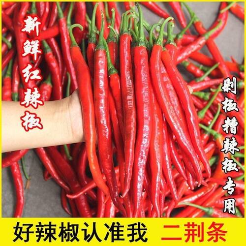 新鲜现摘二荆条红线椒中辣红辣椒海椒美人椒尖椒辣椒酱剁椒酱蔬菜