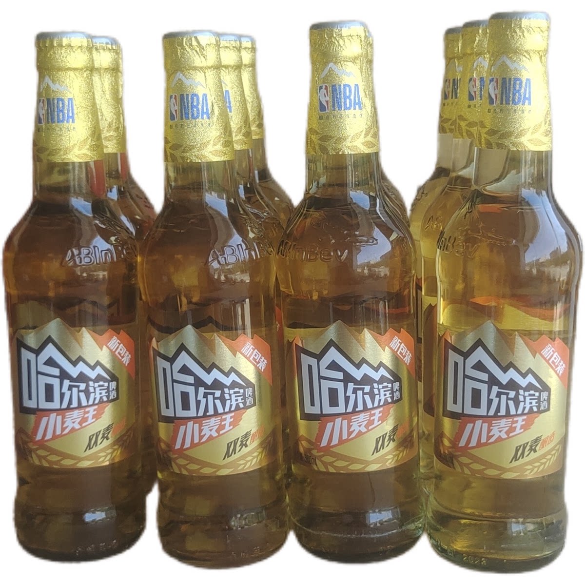 哈尔滨小麦王啤酒500ml*12瓶玻璃装黄啤酒大瓶聚会宴请休闲饮酒