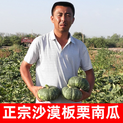 甘肃民勤沙漠板栗南瓜5斤新鲜蔬菜当季板栗味老南瓜甜软糯老香10
