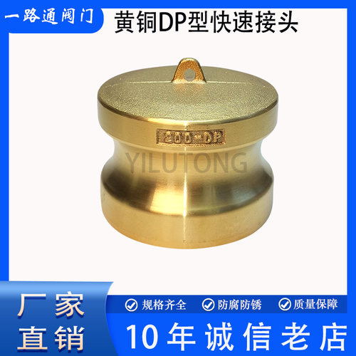黄铜Camlock凸轮扳把式DP型快速接头耐腐蚀阳端堵头防尘盖防尘塞