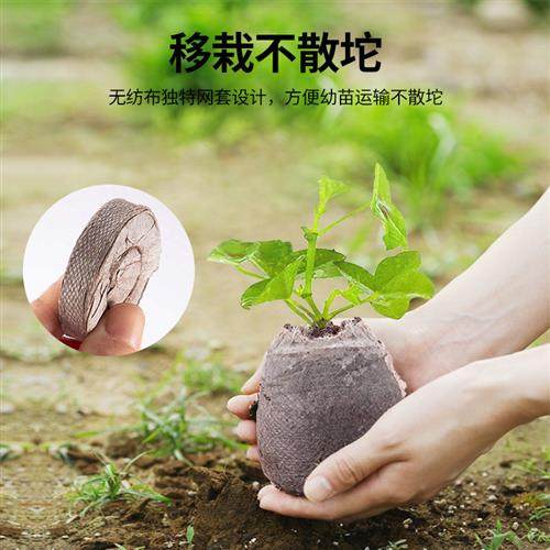 jiffy育苗块营养土压缩无纺布椰糠魔法土壤介质独立包装泥炭