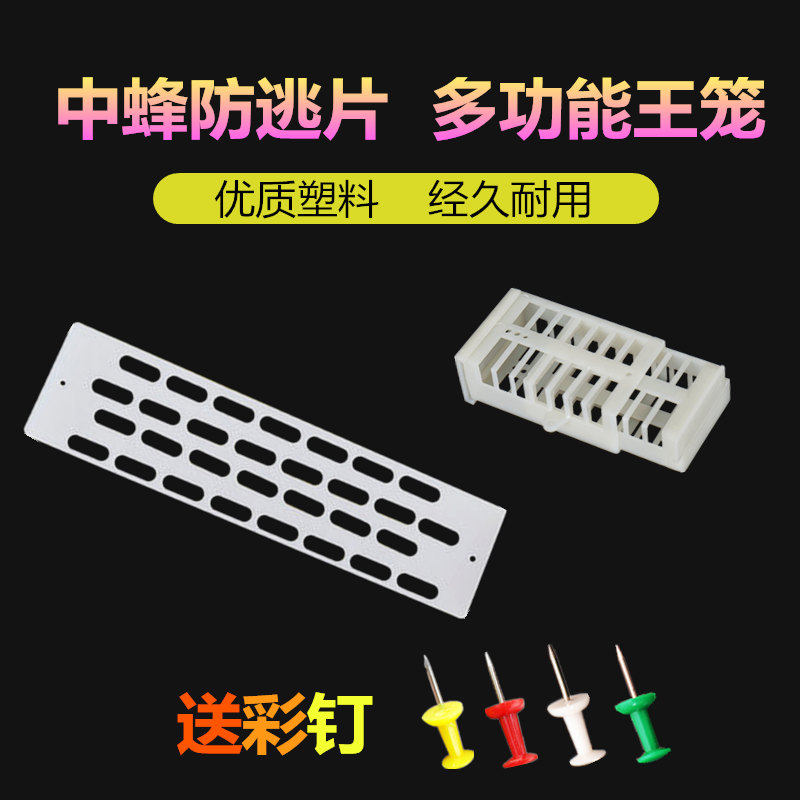 王笼蜜蜂囚王笼塑料多功能介王笼养蜂工具分蜂关王笼子蜜蜂防逃片