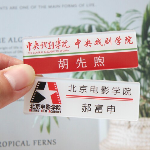 棋魂郝富申胡先煦动漫别针姓名牌DK名札胸针毕业班校牌可定制徽章