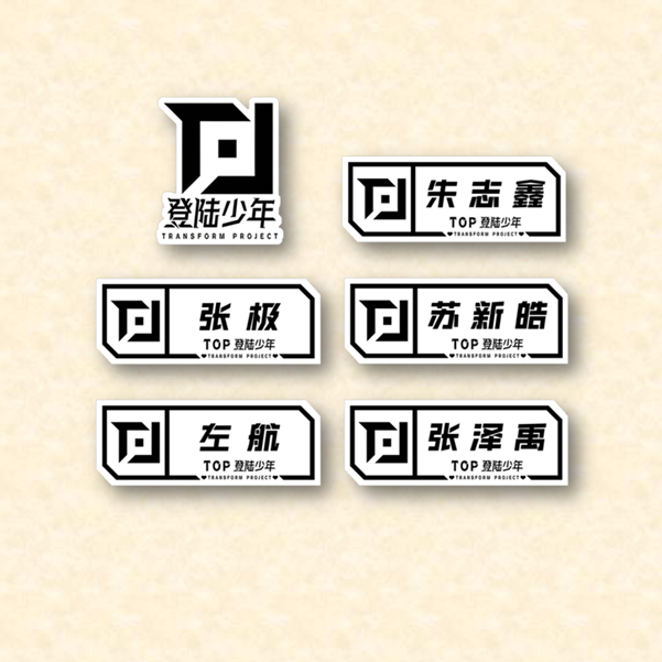 TF家族TOP登陆少年胸牌苏新皓朱志鑫左航张极名札应援周边徽章