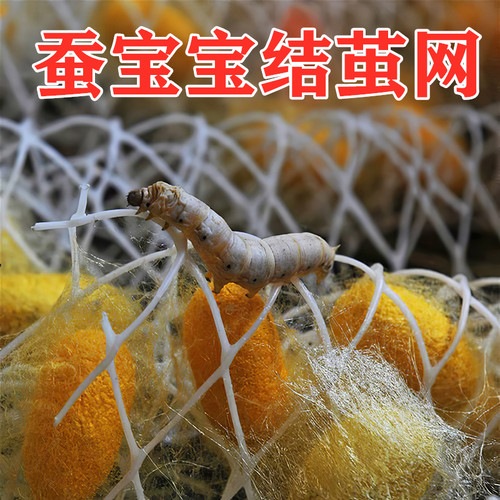 蚕宝宝吐丝用结茧网方格网簇养殖大彩蚕上山吐丝塑料结茧工具包邮