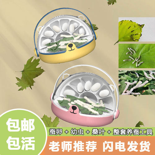 蚕宝宝养育舱学生养蚕太空舱