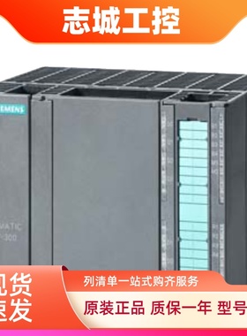 西门子紧凑型 CPU313C 6ES7313/5BF03/6CF03/5BG04/0AB0