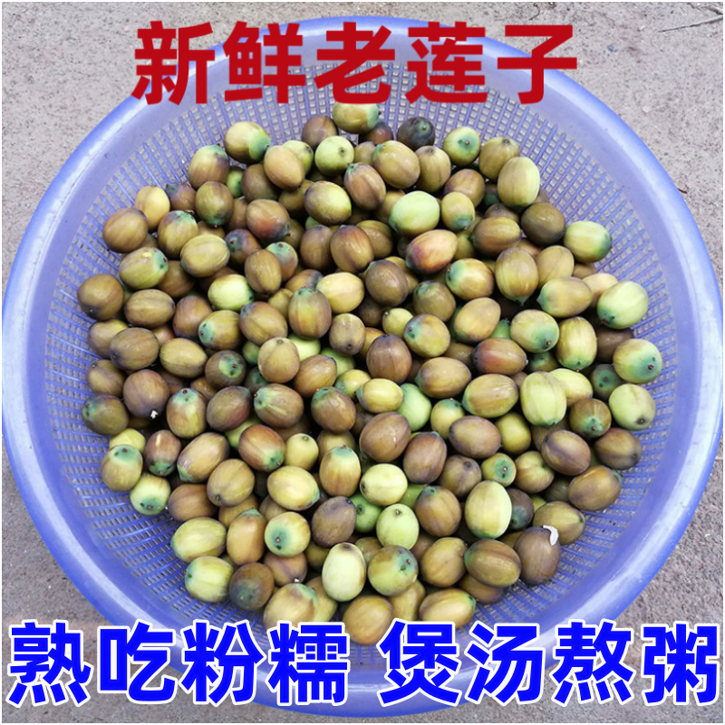 2023新鲜老莲子米成熟粉糯莲蓬子褐色不带壳湖北莲子带芯现摘3斤