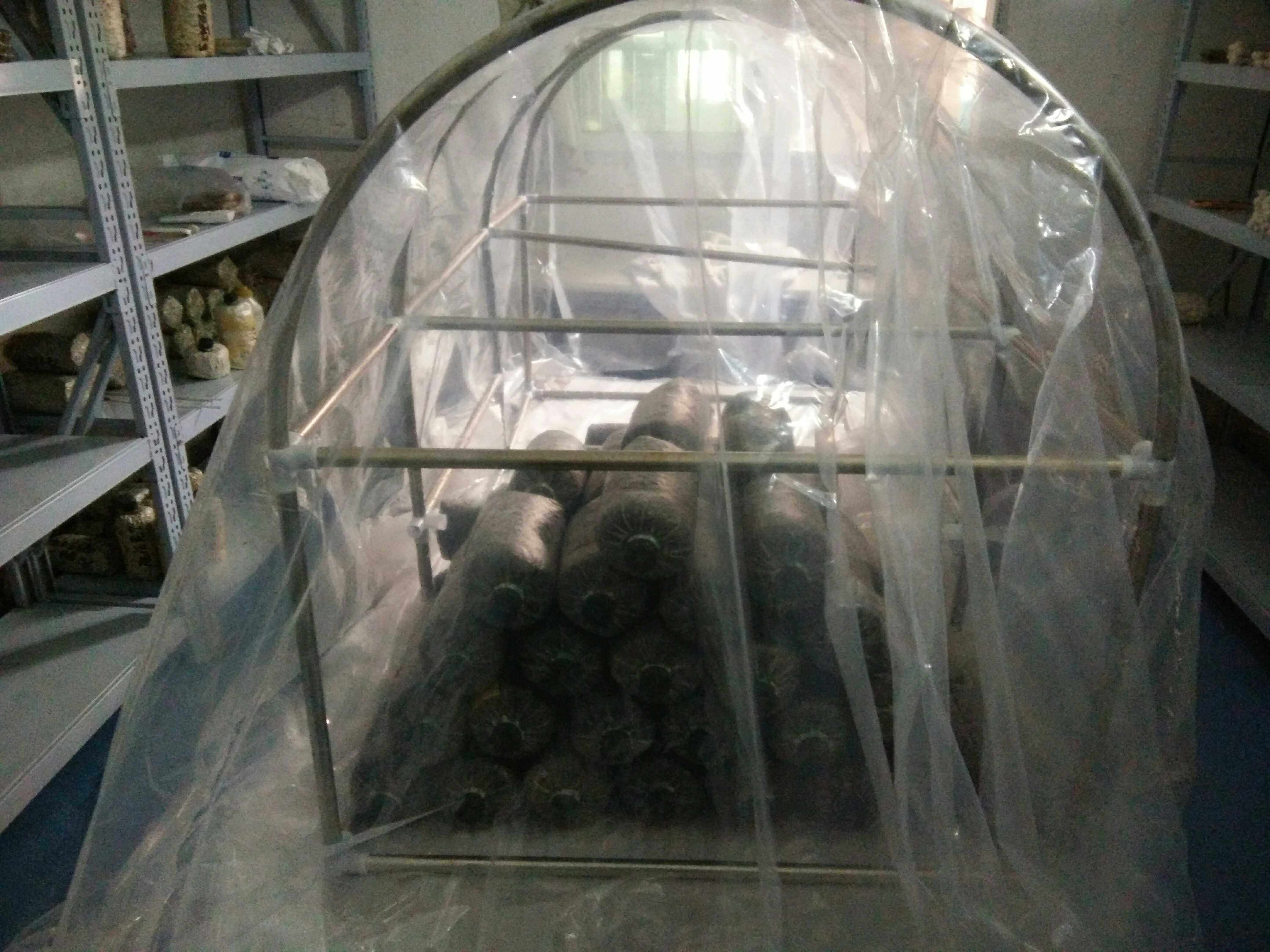 食用菌接种帐 接种帐  接种箱  密封性好 不含不锈钢骨架