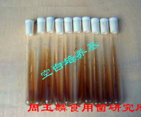 食用菌母种 一级种 试管种 复壮培养基试管 纯培养基 巨划算 1支